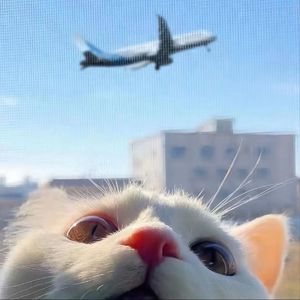 台湾做爰XXXⅩ性HD果冻
