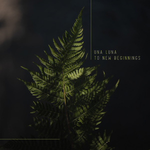 台湾做爰XXXⅩ性HD果冻
